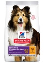 Hill’s Science Plan Aliment Pour Chien Adulte De Taille Medium Et Grande Sensitive Stomach and Skin Au Poulet (2.5kg | 14kg)