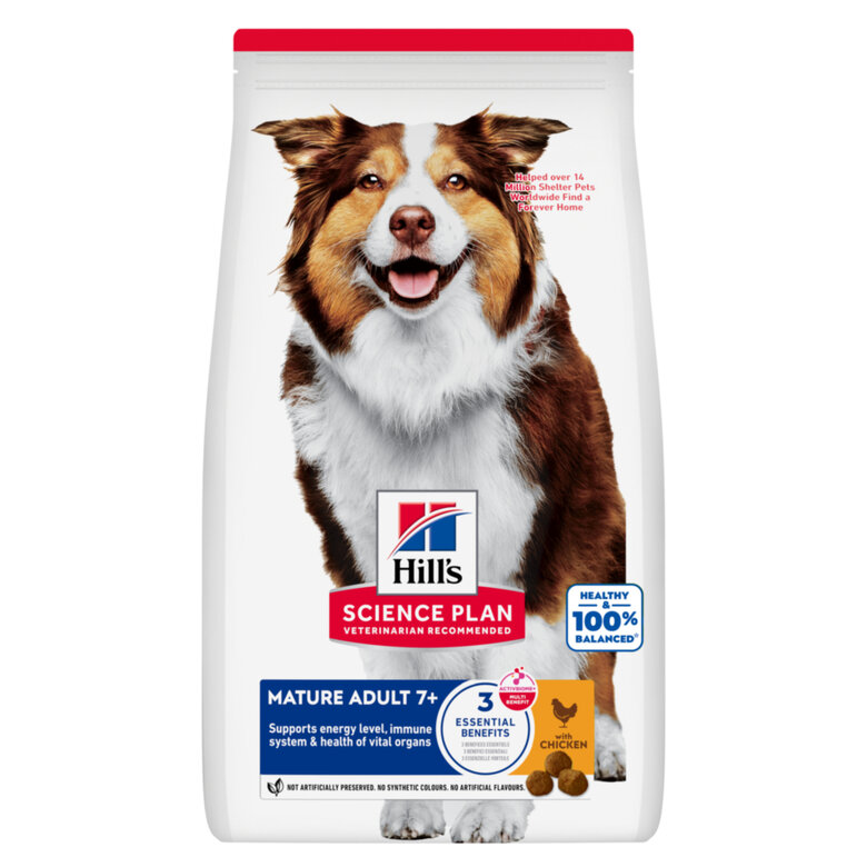 Hill’s Science Plan Aliment Pour Chien Adulte Mature 7+ Medium Au Poulet (2.5kg | 14kg)