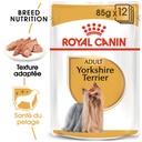 Royal Canin Adult Yorkshire Terrier pâtée pour chien 85gr